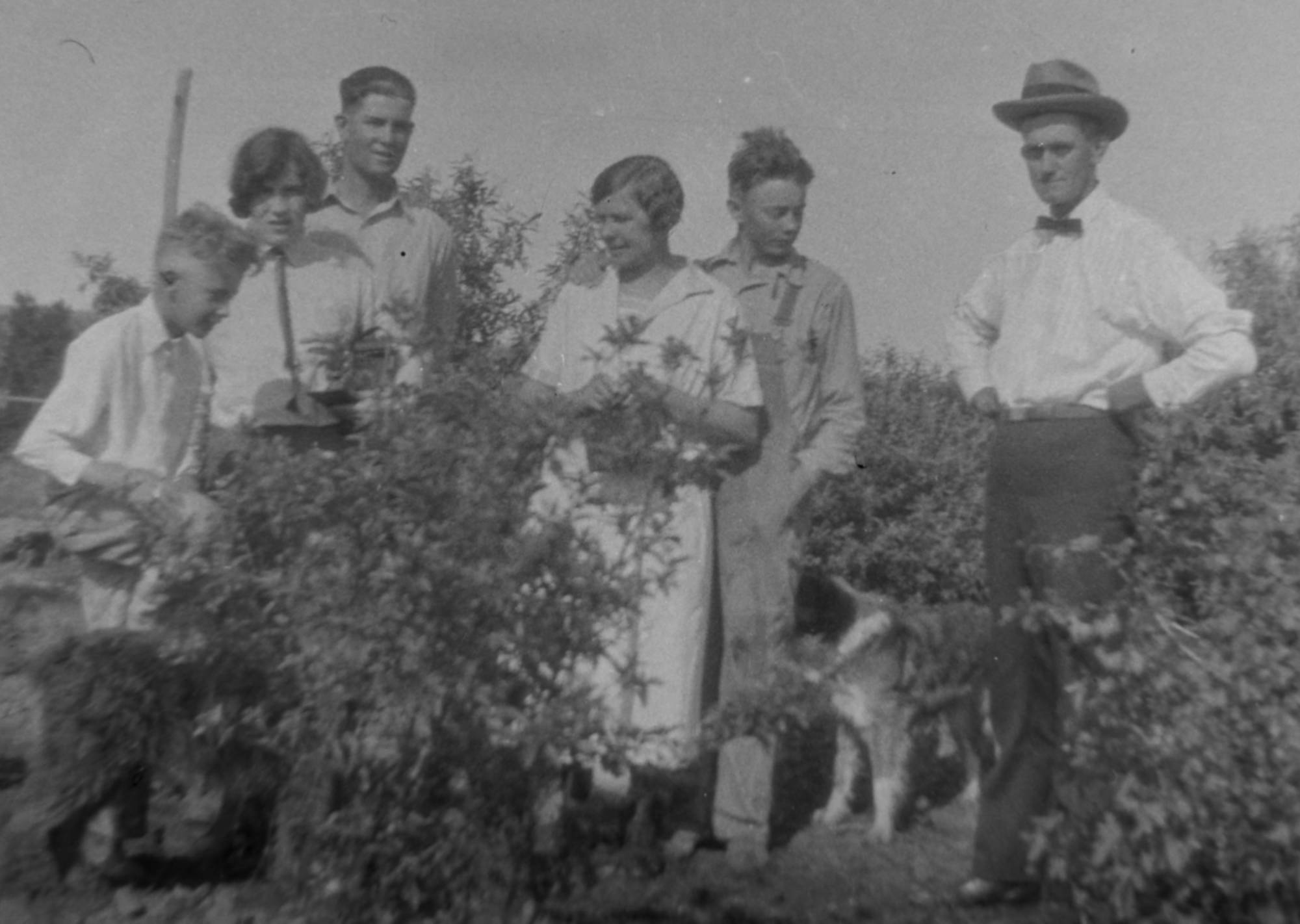 Men, Women, Men & Women, CDE